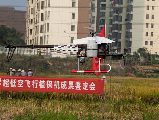 壹定发科技超低空？？？？？？？睾叫兄脖；；；；；；ü蒲行Ч卸