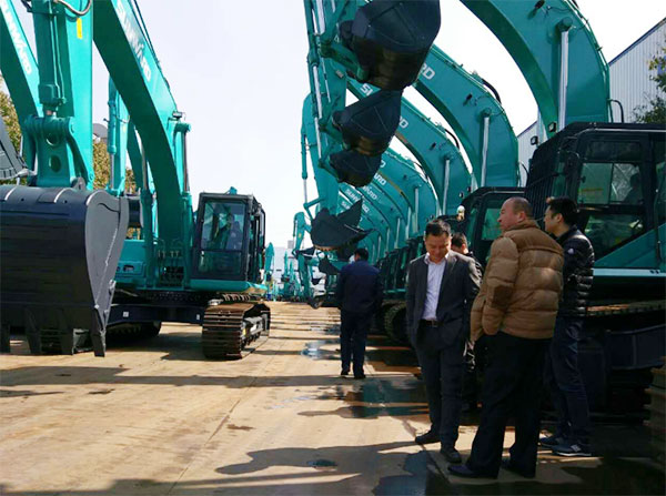 快来看，，，，，快来看，，，，，这里有一群绿精灵