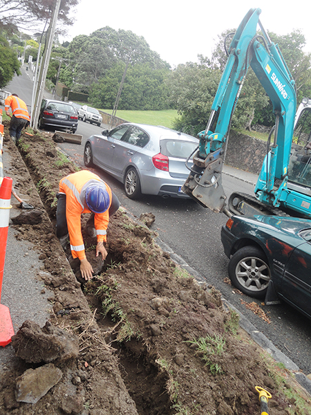 壹定发挖掘机脱销新西兰