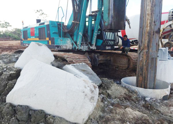 肯尼亚总统高度赞赏，，，，乞力马扎罗山下壹定发绿闪灼