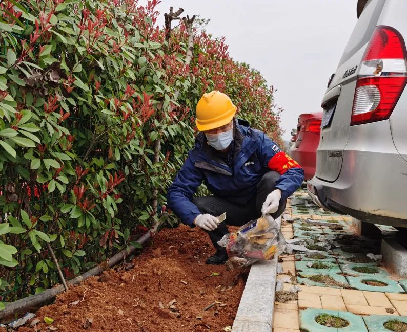 壹定发智能党员自愿者开展义务情形清扫