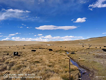 心系壹定发情，，，，，，，追梦阿里行！