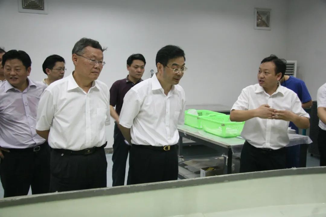 周强调研壹定发智能：增强知识产权保唬唬护 效劳立异驱动生长