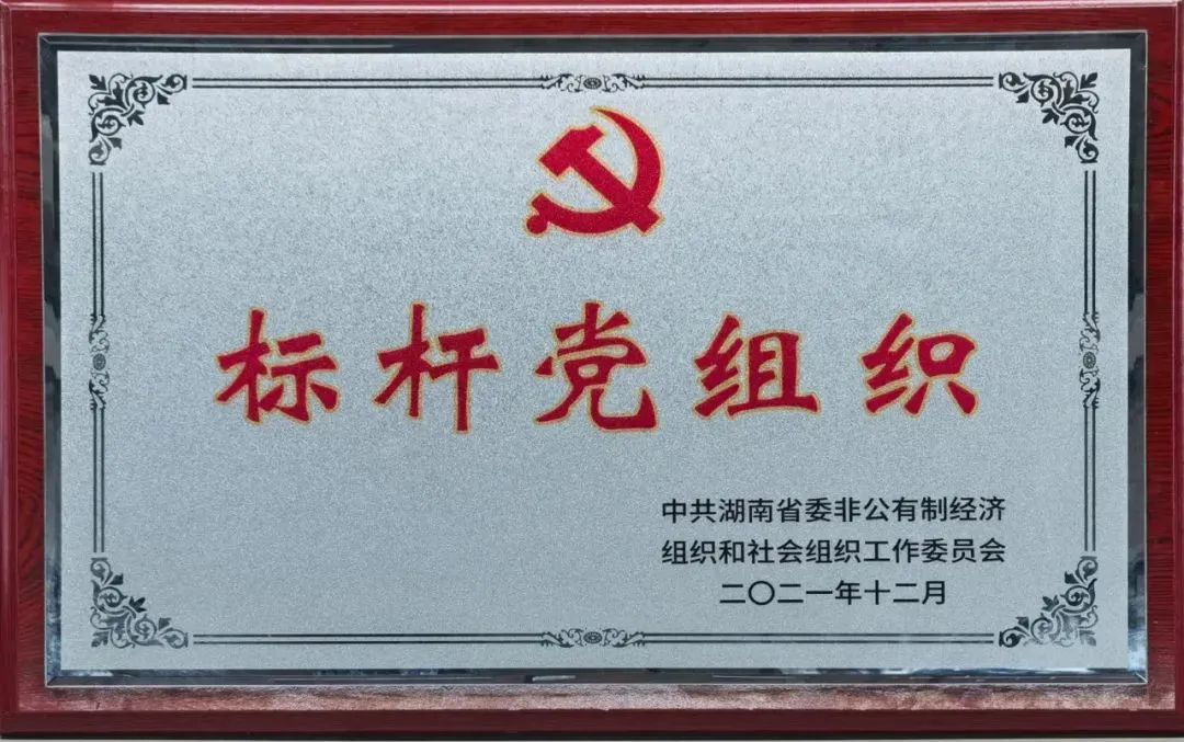 党建品牌亮起来！壹定发智能党委获评“标杆党组织”