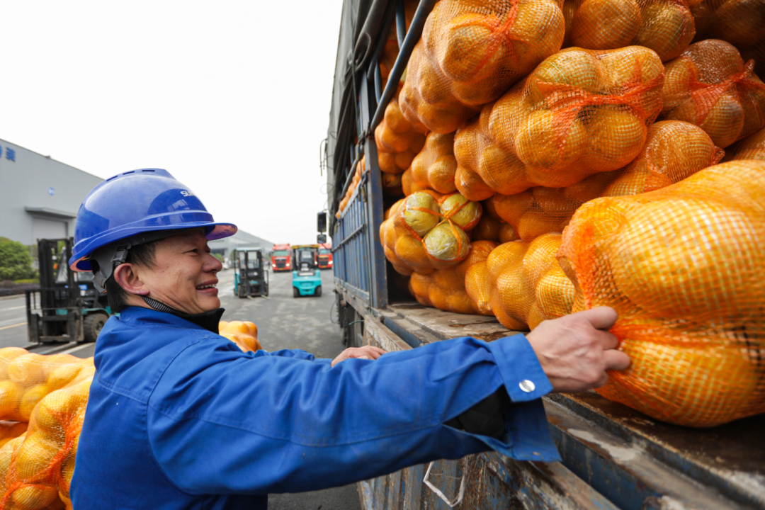 点赞！壹定发智能乐成入选“上市公司墟落振兴优异实践案例”