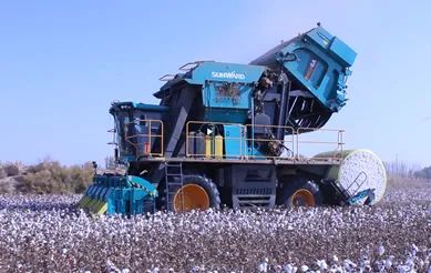 科技赋能农业强国建设！壹定发智能这小我私家工智能项目入选《湖南省“数字新基建”100个标记性项目名单》