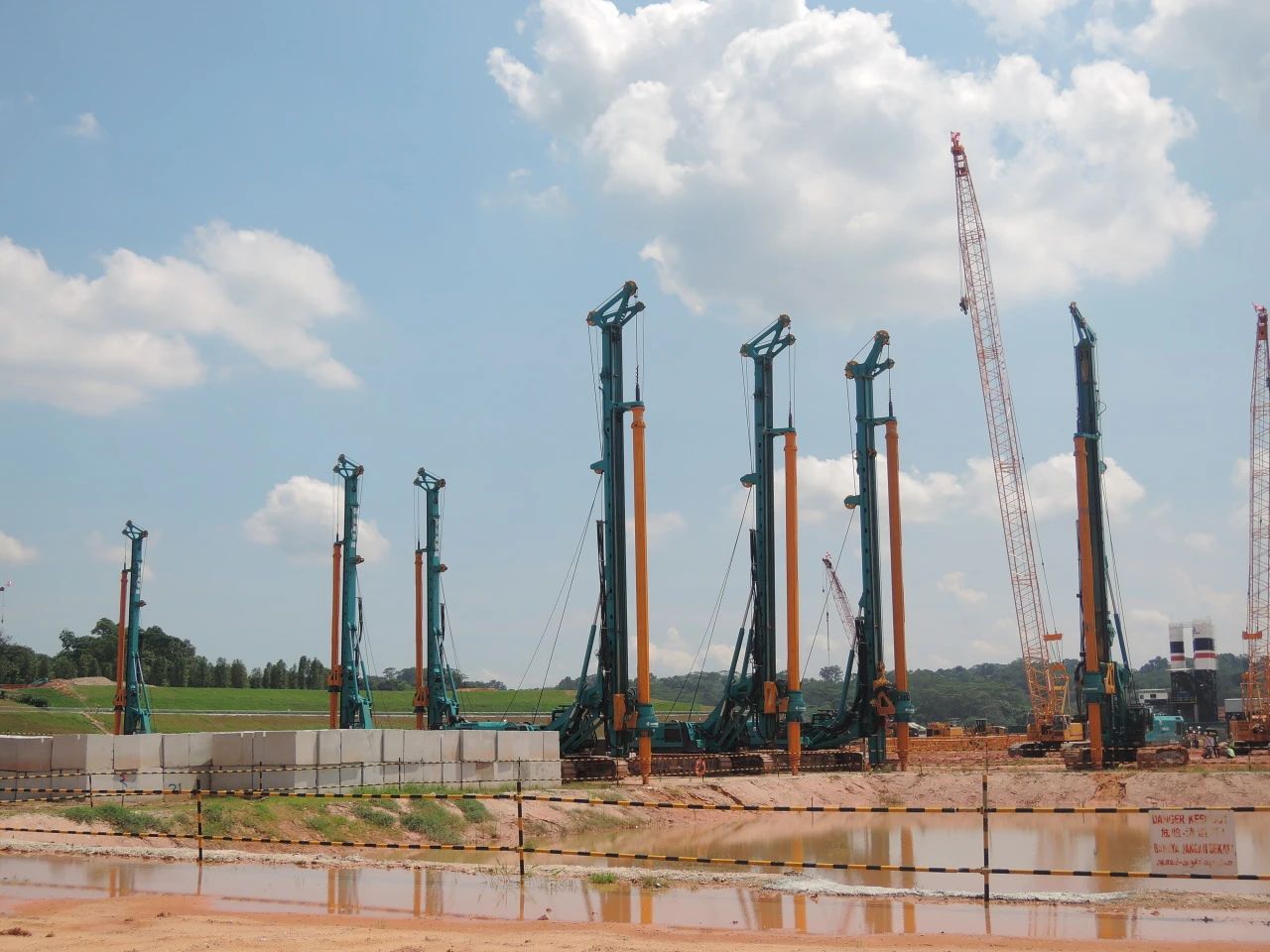 “壹定发绿”绽放“一带一起”