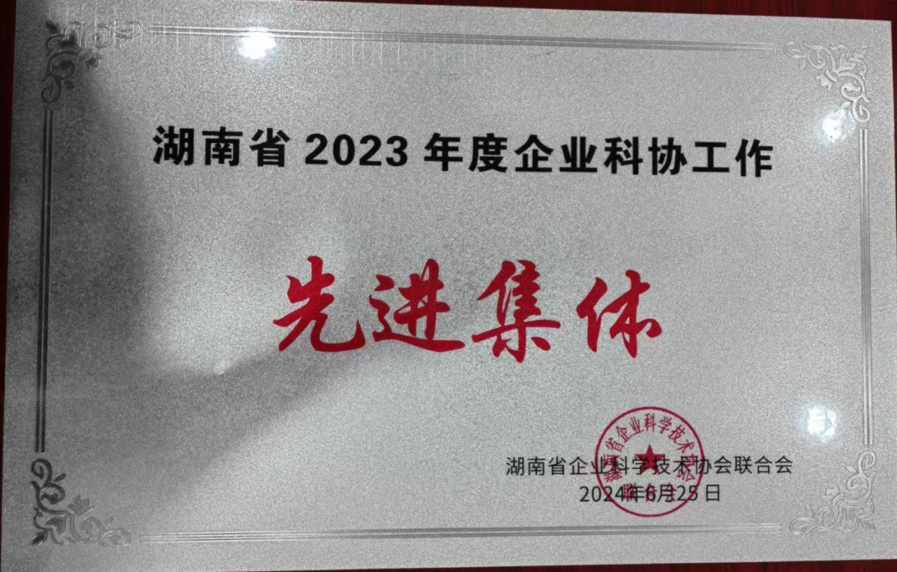 壹定发智能科协荣获湖南省2023年度“企业科协事情先进整体”