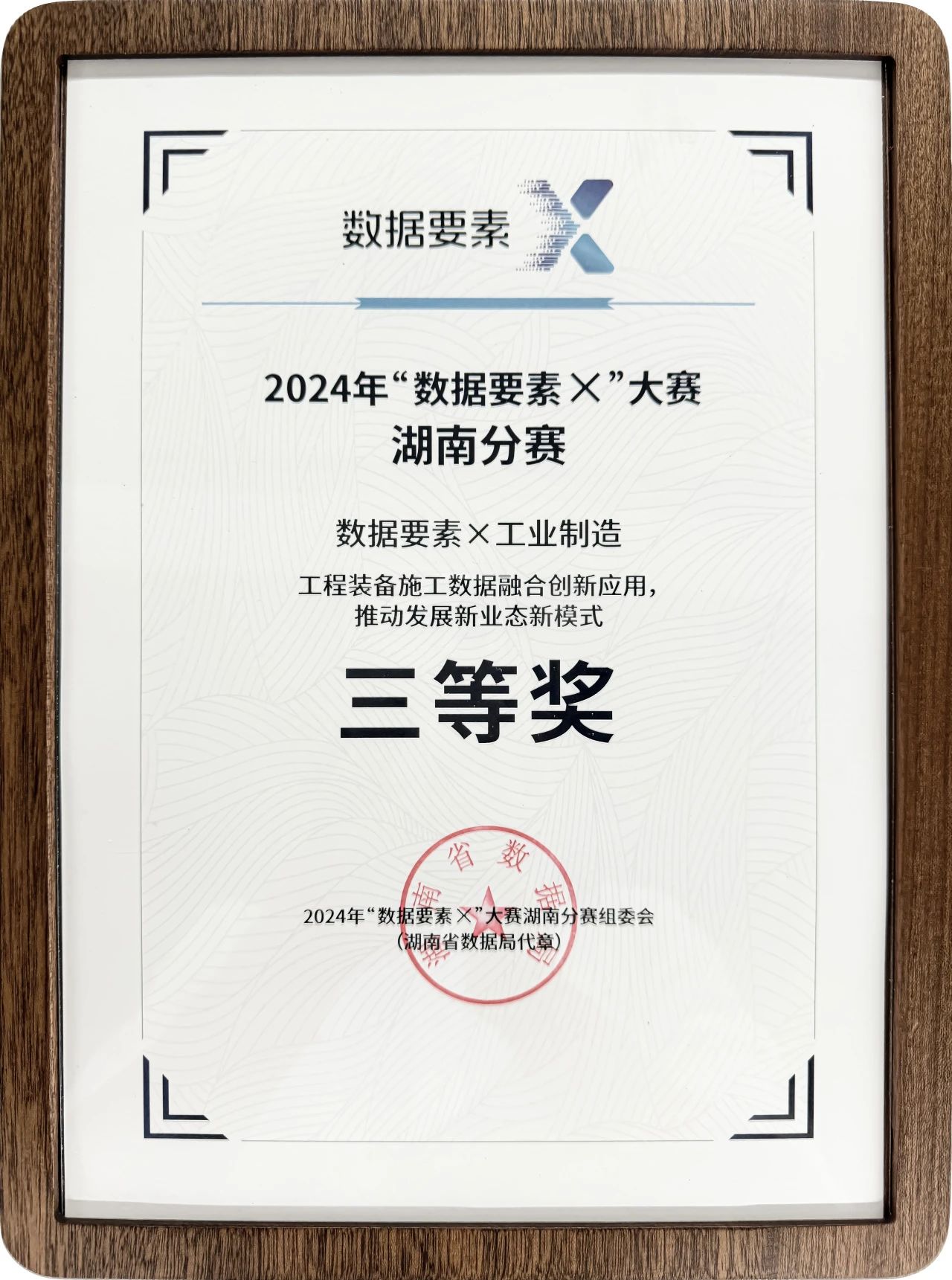 壹定发智能荣获2024年“数据要素×”大赛湖南赛区三等奖