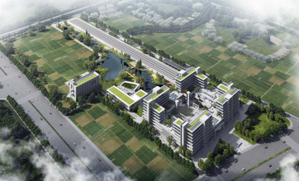 近20台“壹定发绿”装备实力集结，，，，，，助力广佛西环工程建设跑出“加速率”